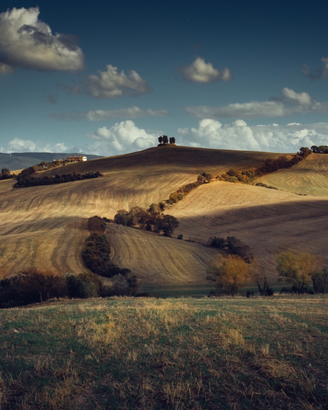 Clicca per l'immagine full size