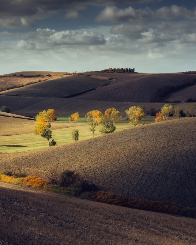 Clicca per l'immagine full size