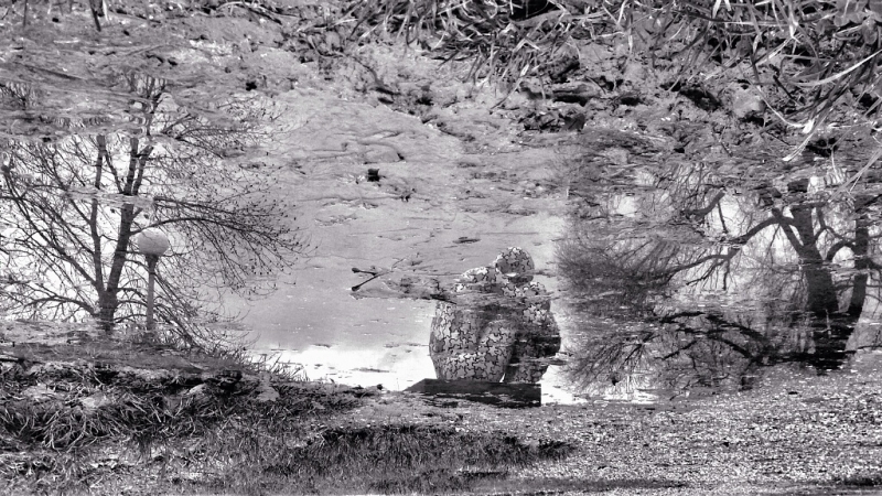 Clicca per l'immagine full size
