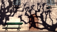 image~34.jpg