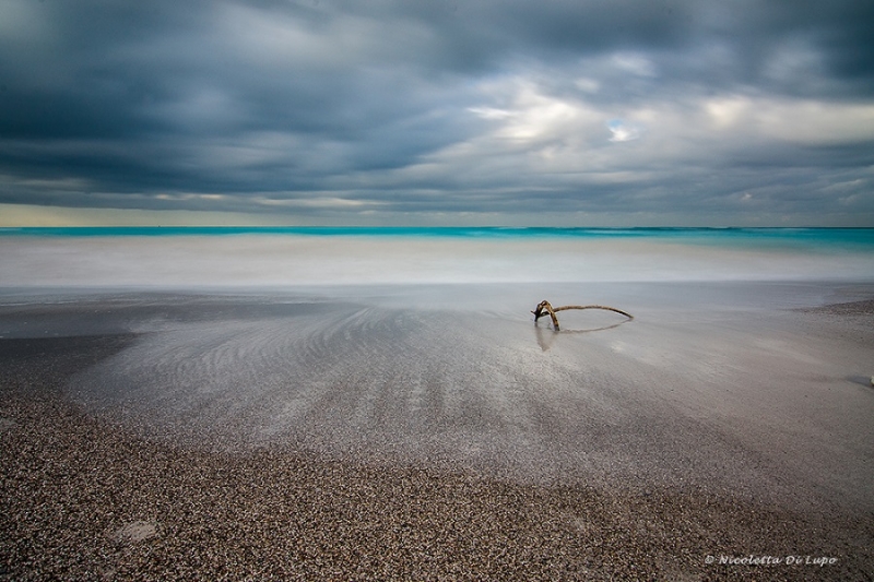 Clicca per l'immagine full size