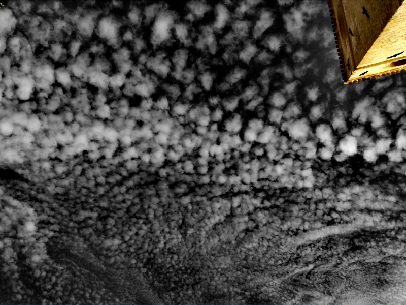 Clicca per l'immagine full size