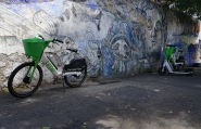 DSC00210_copia.jpg