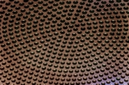 _PDC5308.jpg