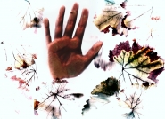 Nome File=Gillians-hand1.jpg
Dimensione File=530KB
Dimensioni=1024x745
Data aggiunta=Set 26, 2015 Gillians-hand1.jpg
