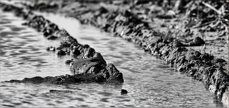 Clicca per l'immagine full size