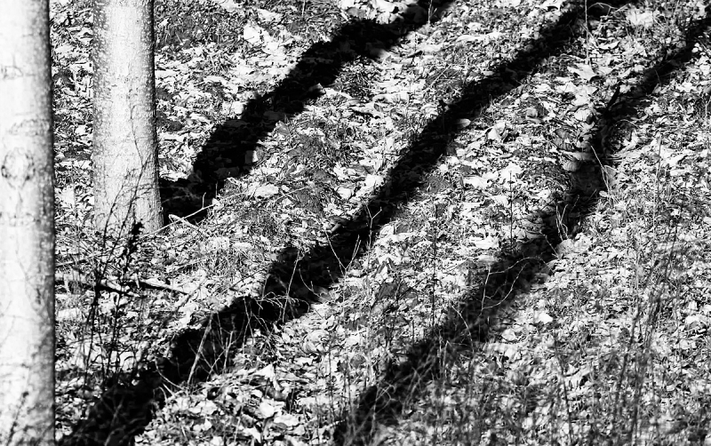 Clicca per l'immagine full size