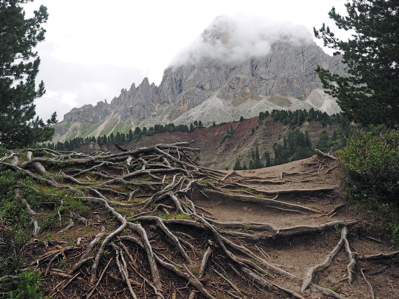 Clicca per l'immagine full size