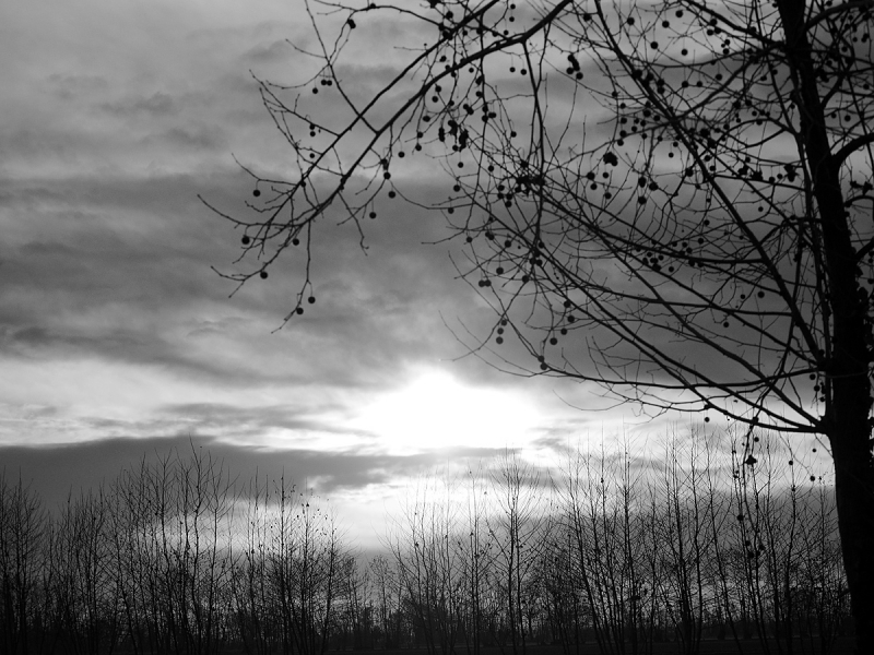 Clicca per l'immagine full size