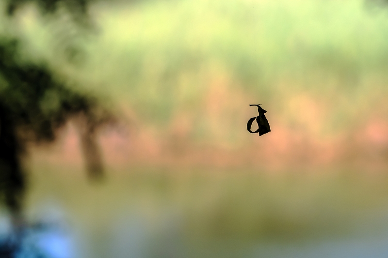 Clicca per l'immagine full size