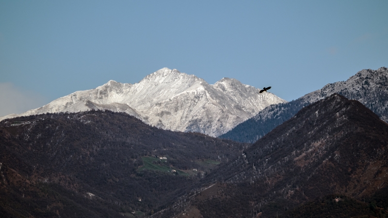 Clicca per l'immagine full size