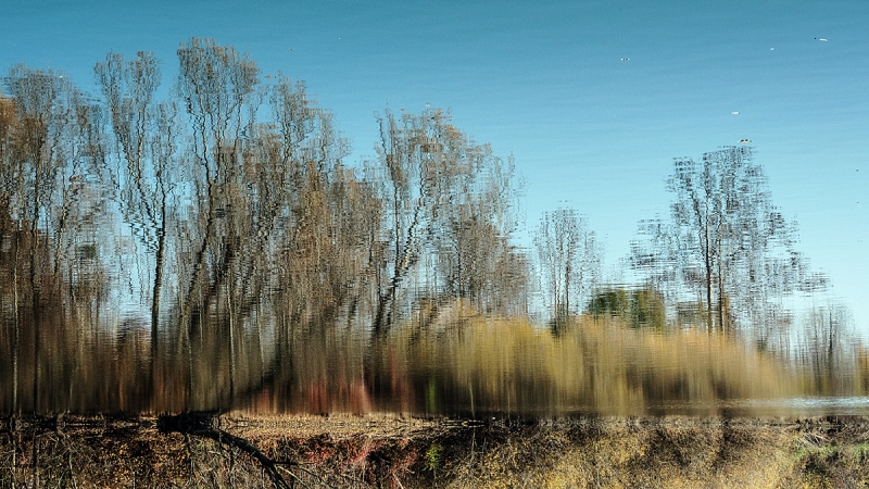 Clicca per l'immagine full size