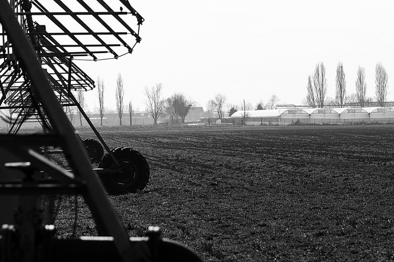 Clicca per l'immagine full size