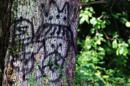 Nome File=20140509cEcoGraffitoIMG7665EMMW.jpg
Dimensione File=564KB
Dimensioni=1200x800
Data aggiunta=Mag 17, 2019 20140509cEcoGraffitoIMG7665EMMW.jpg