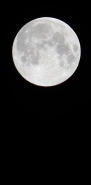 20180628cLunaDueIMG4313EmmWbis.jpg 20180628cLunaDueIMG4313EmmWbis.jpg