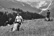 Nome File=20180723oTreAlLavoroP7230258EMMW.jpg
Dimensione File=569KB
Dimensioni=1200x800
Data aggiunta=Ott 13, 2021 20180723oTreAlLavoroP7230258EMMW.jpg