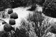 Nome File=20201202cNeveGiardinoIMG_4793EMMW.jpg
Dimensione File=569KB
Dimensioni=1200x800
Data aggiunta=Dic 02, 2020 20201202cNeveGiardinoIMG_4793EMMW.jpg