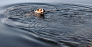 20210905OlyCanRamettoP9050116ERW.jpg