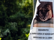 Nome File=20220227oPiccoleSofferenzeP5270168EMMW.jpg
Dimensione File=571KB
Dimensioni=1200x900
Data aggiunta=Mag 28, 2022 20220227oPiccoleSofferenzeP5270168EMMW.jpg