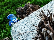 Nome File=20221015OlyBluBevutoButtatoPA220022ERWW.jpg
Dimensione File=577KB
Dimensioni=1200x900
Data aggiunta=Ott 24, 2022 20221015OlyBluBevutoButtatoPA220022ERWW.jpg