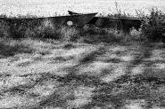 Nome File=20221126OlyBarcheSpiaggiatePB260013EBNRW.jpg
Dimensione File=561KB
Dimensioni=1200x800
Data aggiunta=Dic 16, 2022 20221126OlyBarcheSpiaggiatePB260013EBNRW.jpg