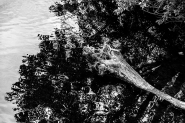 Nome File=20230407OlyTroncoAbbattutoP4270134ERW.jpg
Dimensione File=567KB
Dimensioni=1200x800
Data aggiunta=Mag 11, 2023 20230407OlyTroncoAbbattutoP4270134ERW.jpg