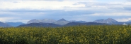 Nome File=20240406CanDifficilePrimaveraIMG_5041ERW.jpg
Dimensione File=579KB
Dimensioni=1200x410
Data aggiunta=Apr 11, 2024 20240406CanDifficilePrimaveraIMG_5041ERW.jpg