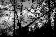 Filename=20240424OlyTremitiFiumeP4240075ERWBN.jpg
Filesize=584KB
Dimensions=1200x800
Date added=Apr 24, 2023 20240424OlyTremitiFiumeP4240075ERWBN.jpg
