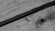 Nome File=20240913OlyBrucoViaP9130063ERWBN.jpg
Dimensione File=562KB
Dimensioni=1200x675
Data aggiunta=Set 17, 2024 20240913OlyBrucoViaP9130063ERWBN.jpg