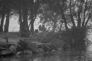 20241116OlyAcqueAutunnoPescatoriPB160121ERW.jpg