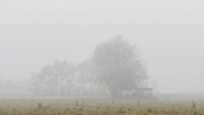 20241116OlyCasaNebbiaPB160582ERW.jpg