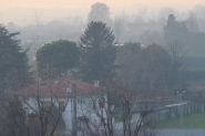 20241217OlyImbrunirePadanoPC170234ERW.jpg