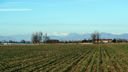 20250111OlyCampagnaOrizzonteERWP1110043.jpg