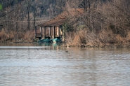 20250125OlyFiumeCasaP1290106ERW.jpg