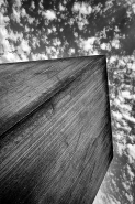 Nome File=ComenuvoleincieloW.jpg
Dimensione File=571KB
Dimensioni=681x1024
Data aggiunta=Gen 28, 2021 ComenuvoleincieloW.jpg