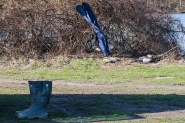 xxx20250125OlyPescatoreTracciaUnoP1290083ERW.jpg