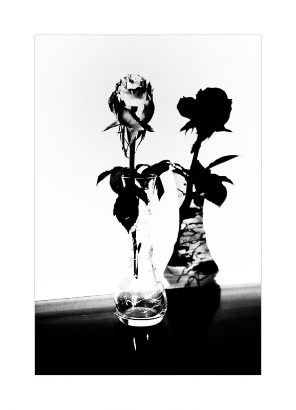 Clicca per l'immagine full size
