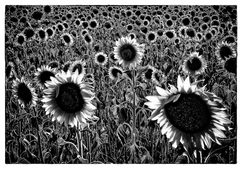 Clicca per l'immagine full size