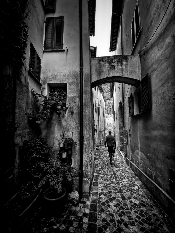 Clicca per l'immagine full size