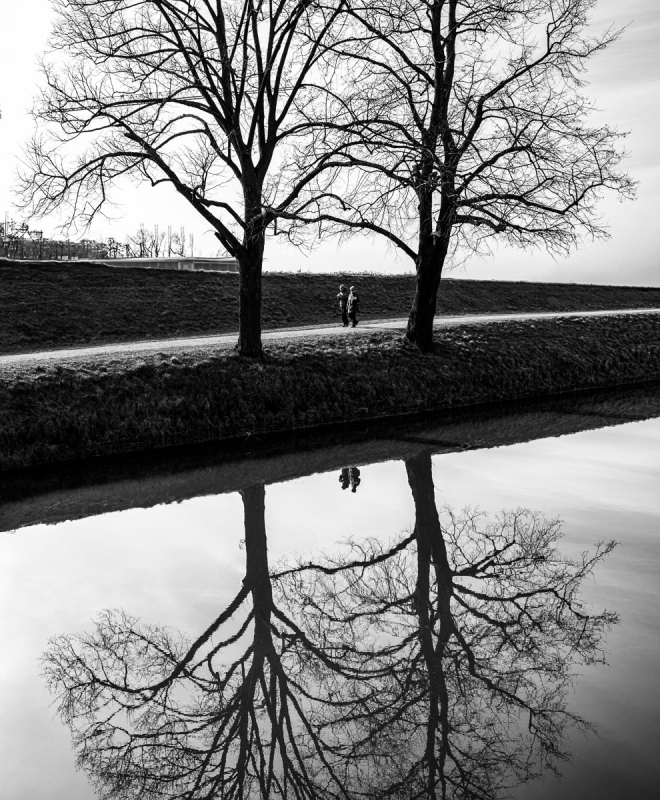 Clicca per l'immagine full size