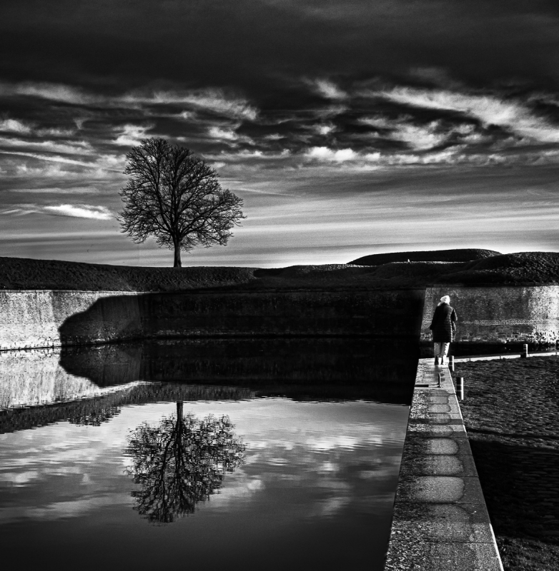 Clicca per l'immagine full size