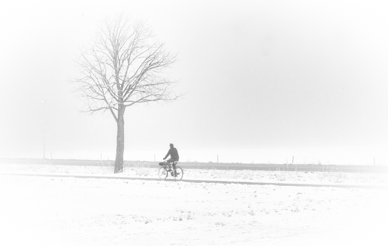 Clicca per l'immagine full size