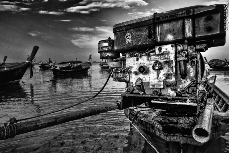 Clicca per l'immagine full size