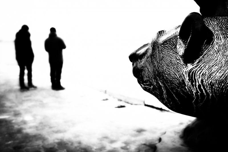 Clicca per l'immagine full size