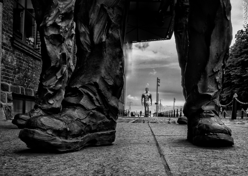 Clicca per l'immagine full size
