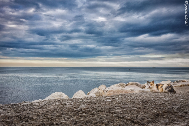 Clicca per l'immagine full size