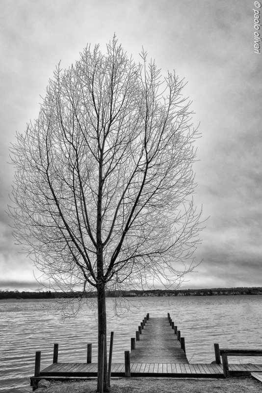 Clicca per l'immagine full size