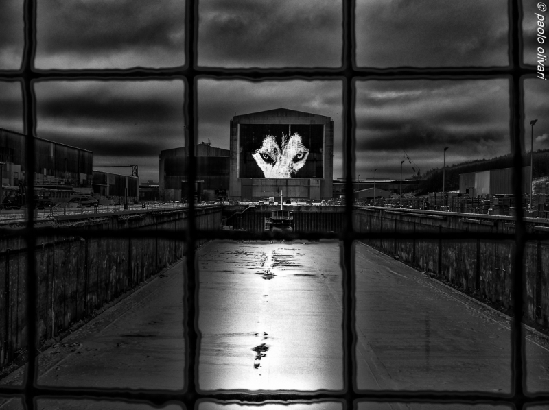 Clicca per l'immagine full size
