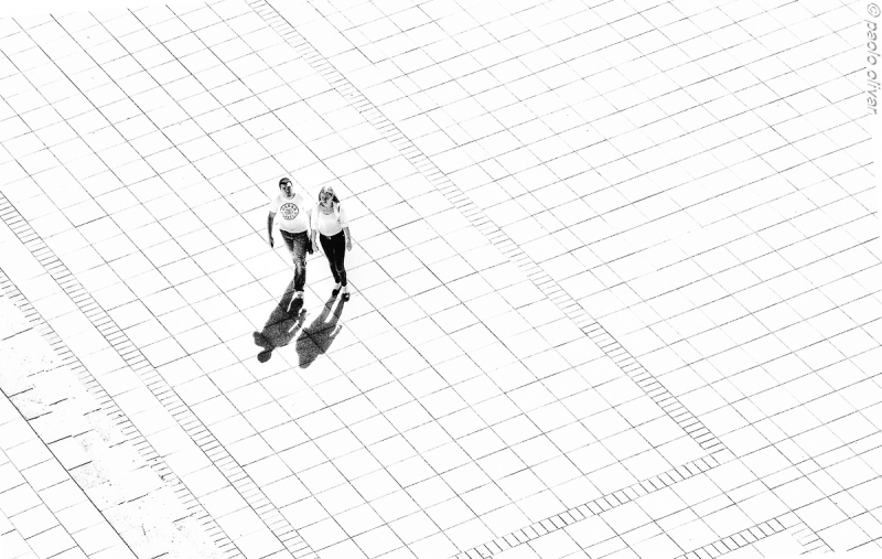 Clicca per l'immagine full size