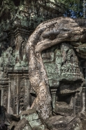 Nome File=Angkor_9.JPG
Dimensione File=503KB
Dimensioni=800x1200
Data aggiunta=Gen 29, 2017 Angkor_9.JPG